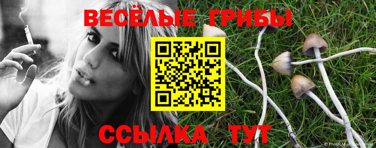  Кокаин Химки