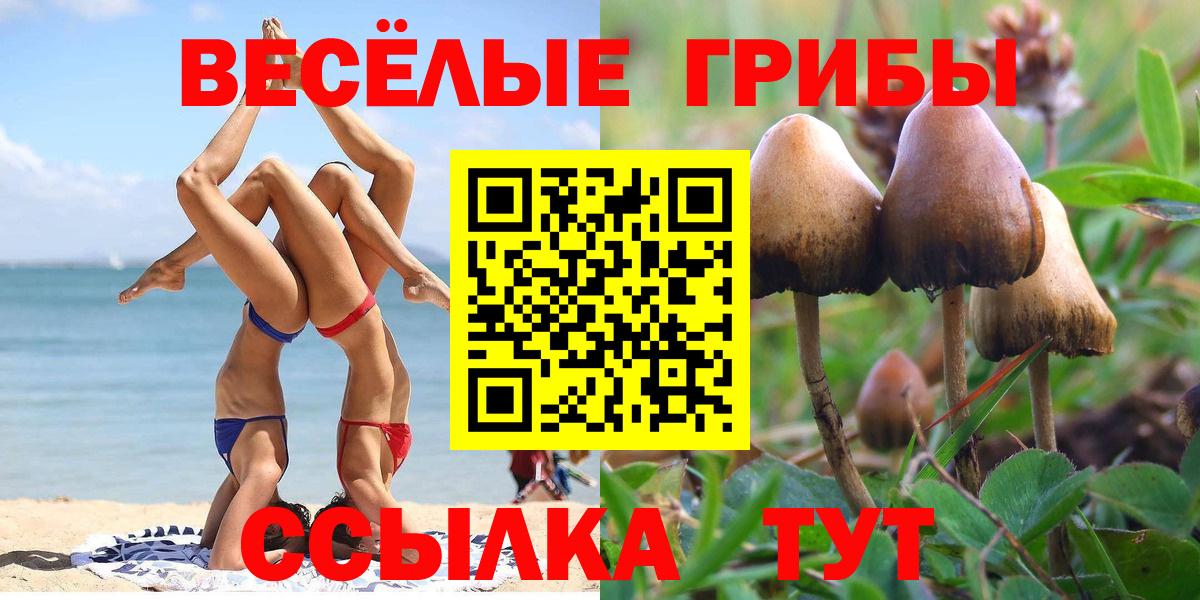 Псилоцибиновые грибы ЛСД  Псилоцибиновые грибы мухоморы  Химки  Вход с VPN 